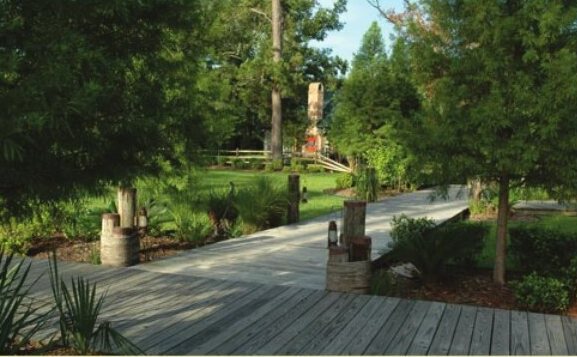 Wooded garden path with a timber boardwalk