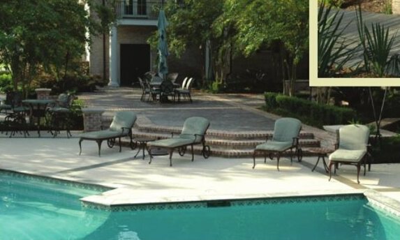 Residential pool terrace with lounge chairs and landscaping